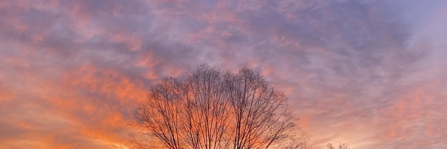 Brett McCutcheon banner