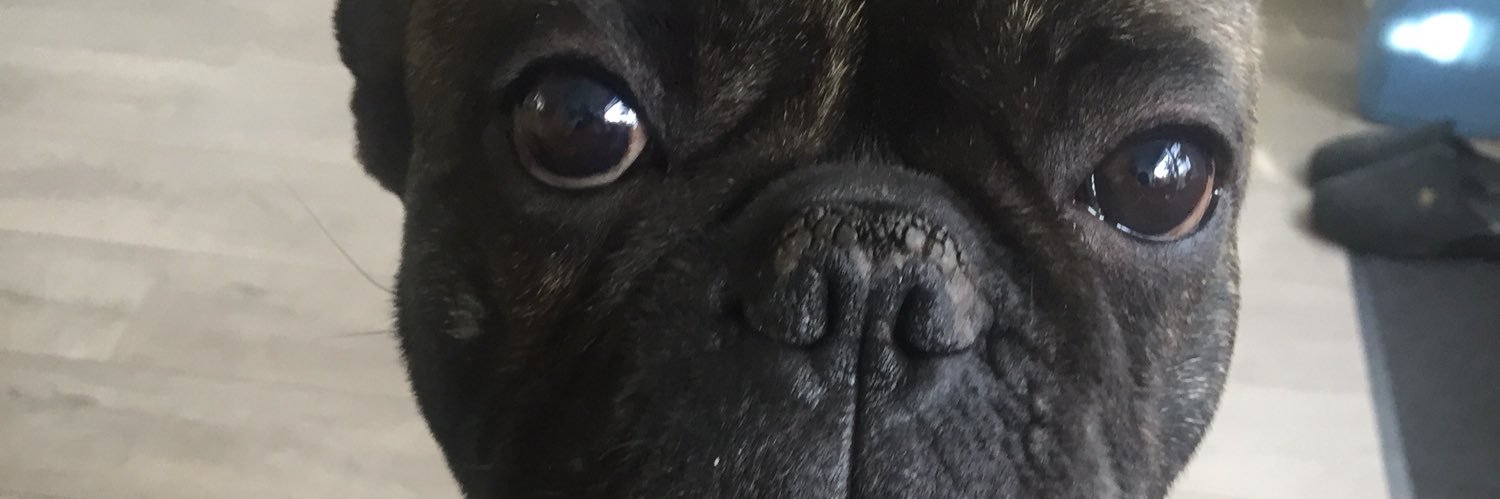 gina2001x's profile banner image