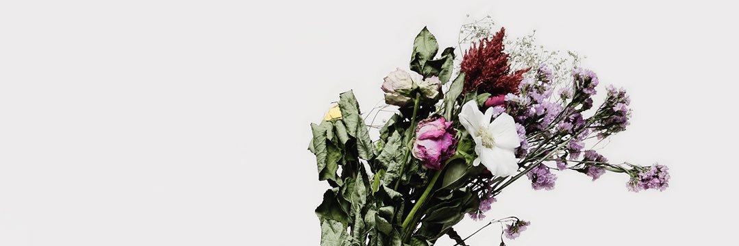 04airbeaver's profile banner image