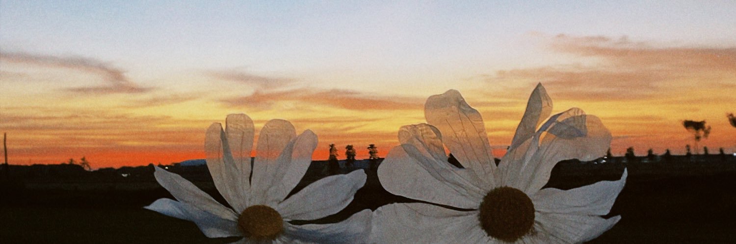 wwiimmp's profile banner image