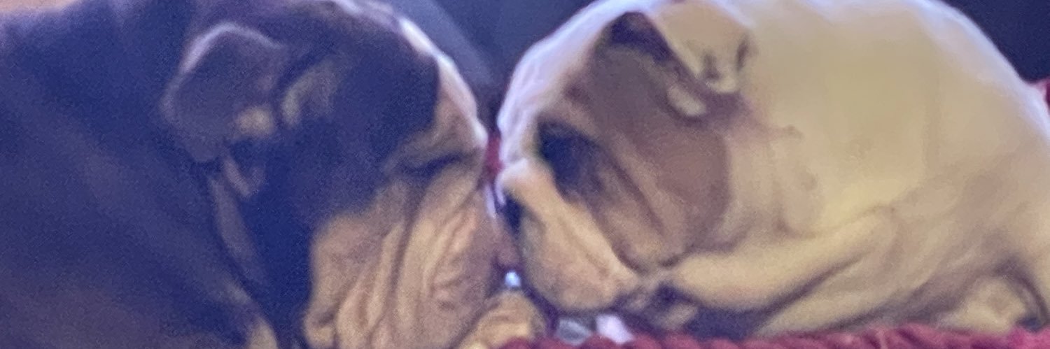 verity carnie banner