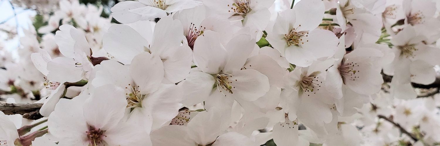 ひとのん banner