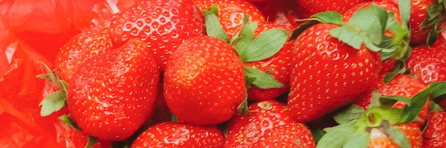 lestariutami__'s profile banner image