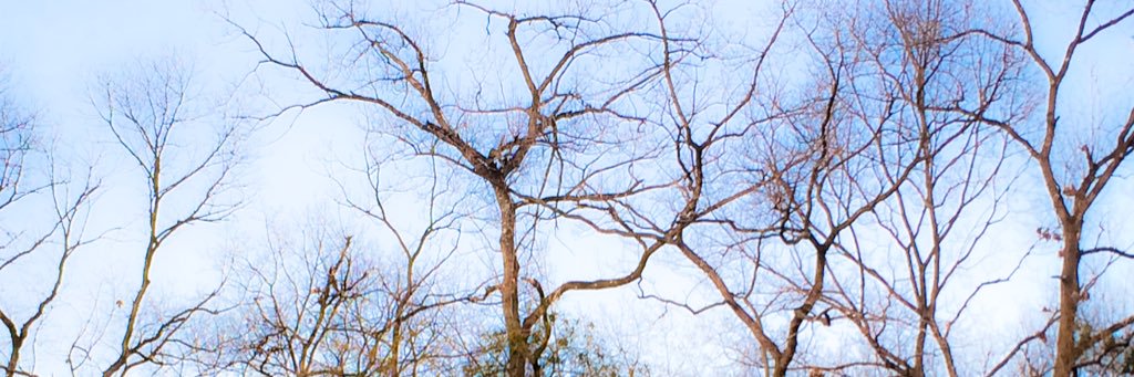 hooshoo555's profile banner image