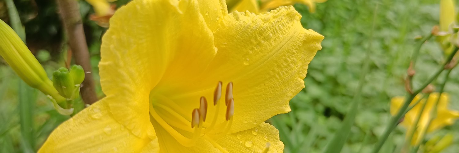 maaharrr's profile banner image