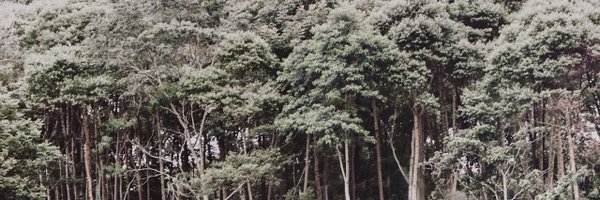 SebNielsen Profile Banner