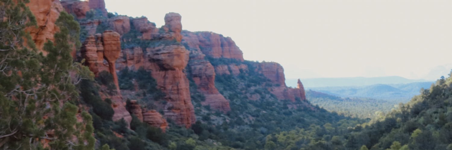 carlywarner_'s profile banner image