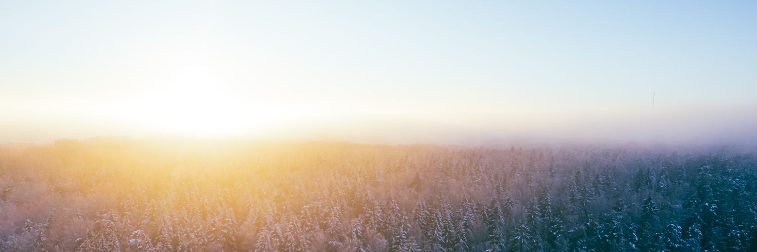 pe0ni's profile banner image