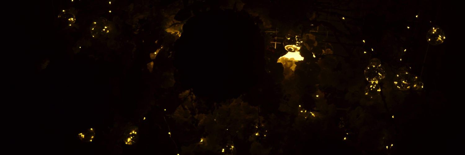 CarlBayona's profile banner image