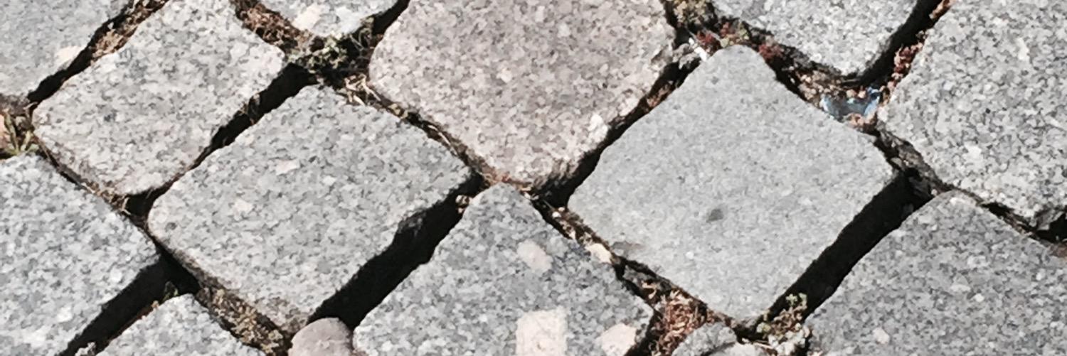 DuyguAnilCini's profile banner image