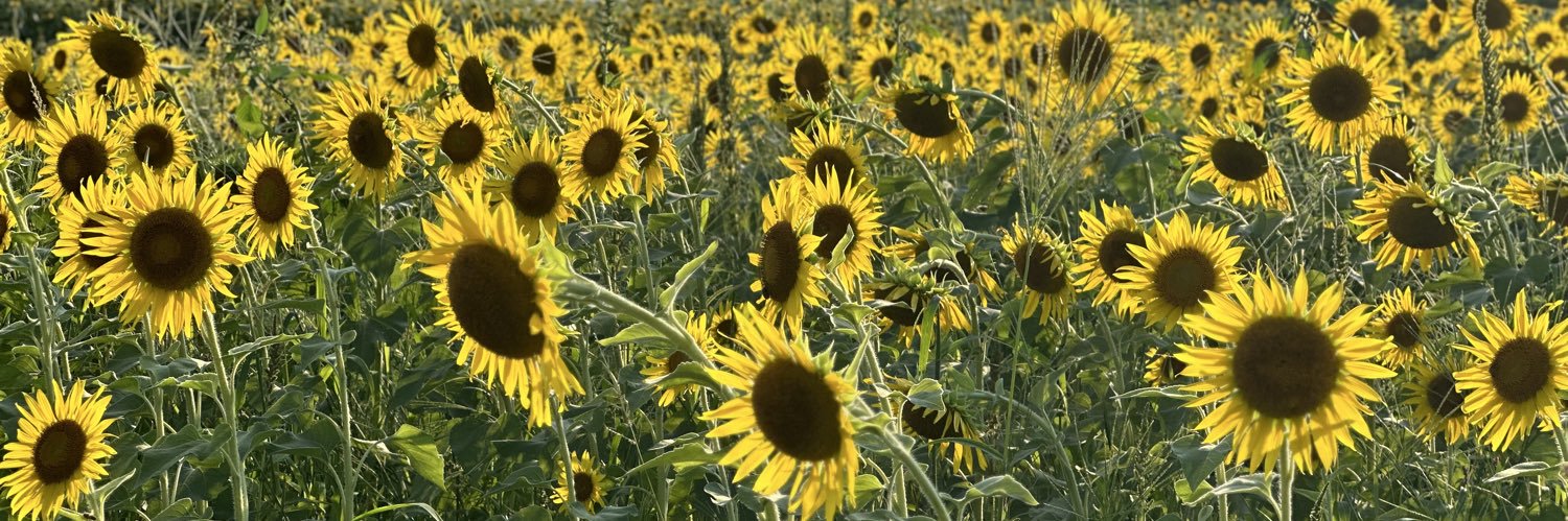 ひまちゃん banner