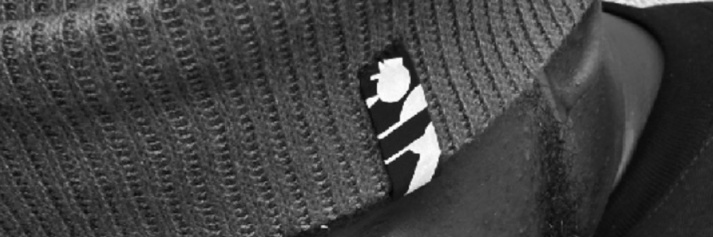 BIG HISH🦦 banner