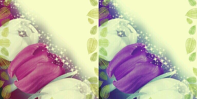 ris_niy's profile banner image
