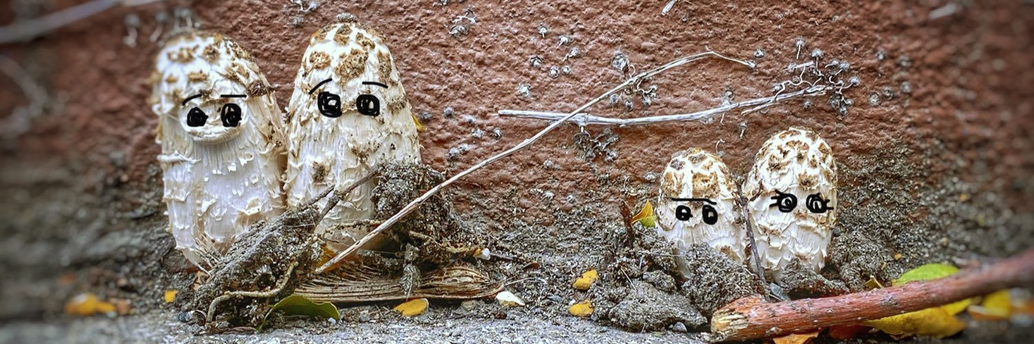 Philippe Schlesser banner