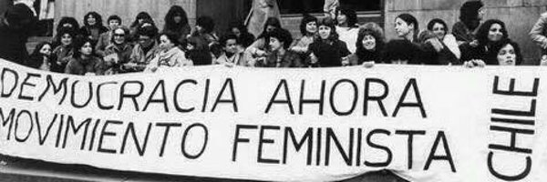 tarcipina Profile Banner