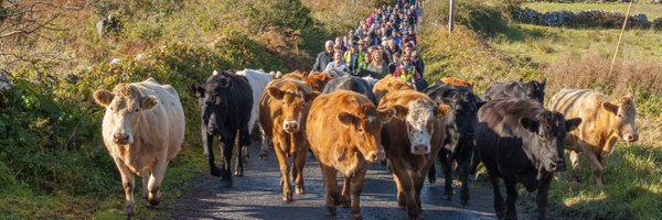 aoife_forde Profile Banner