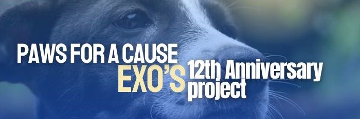 ExosQueen_'s profile banner image
