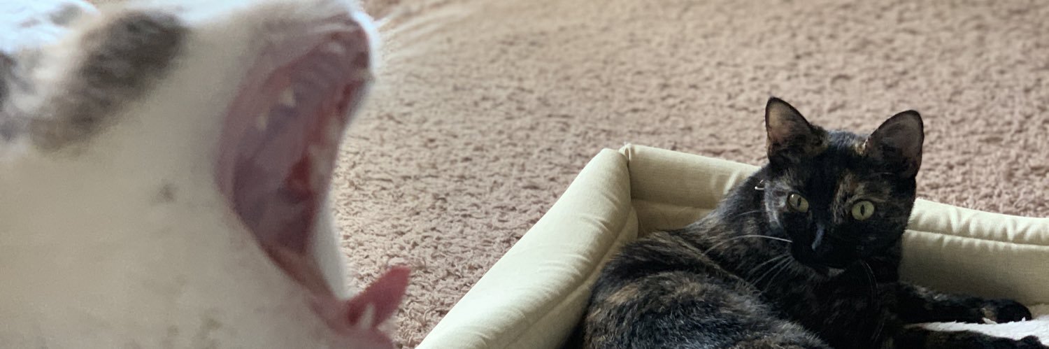 booptyy's profile banner image
