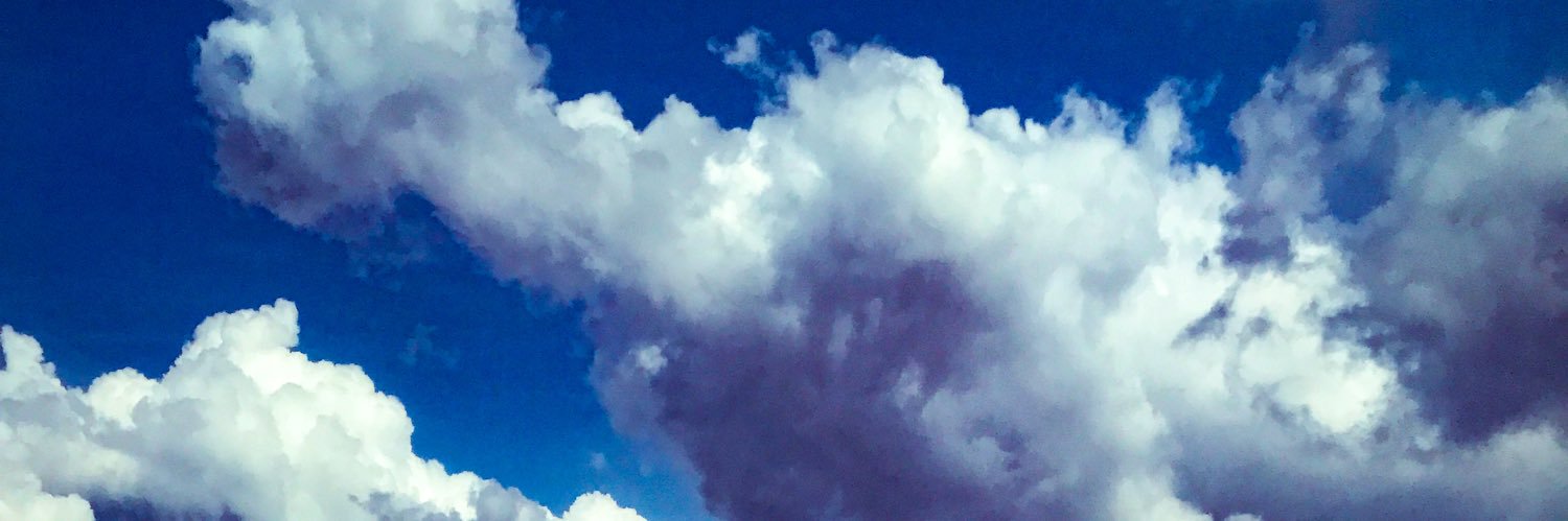 🐤 banner