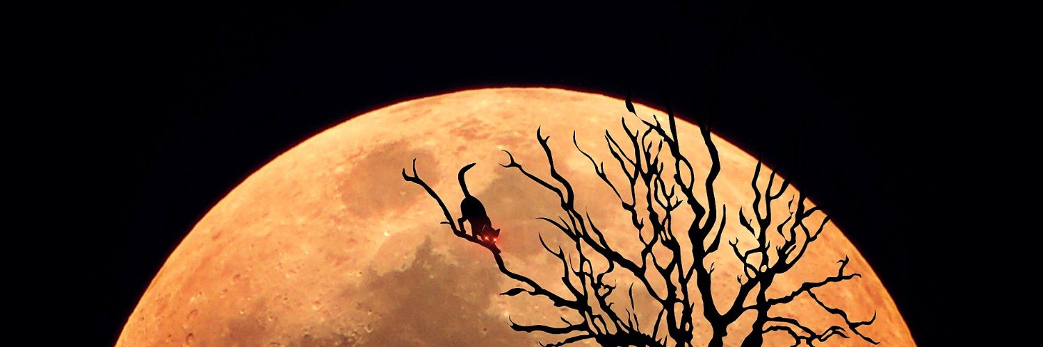 Mooun131's profile banner image