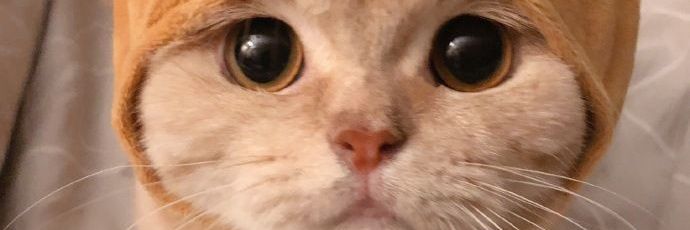 minrainzz's profile banner image