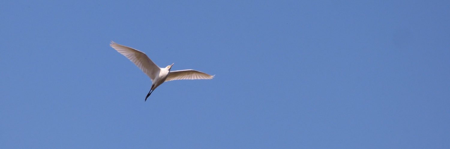 Rahul Dwivedi banner