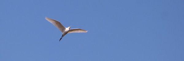 _Rahuld Profile Banner