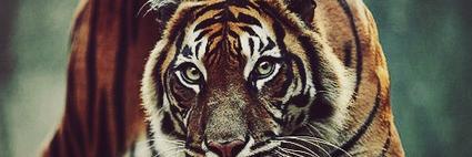 davidavid_o8's profile banner image