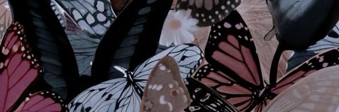 chiannnee's profile banner image