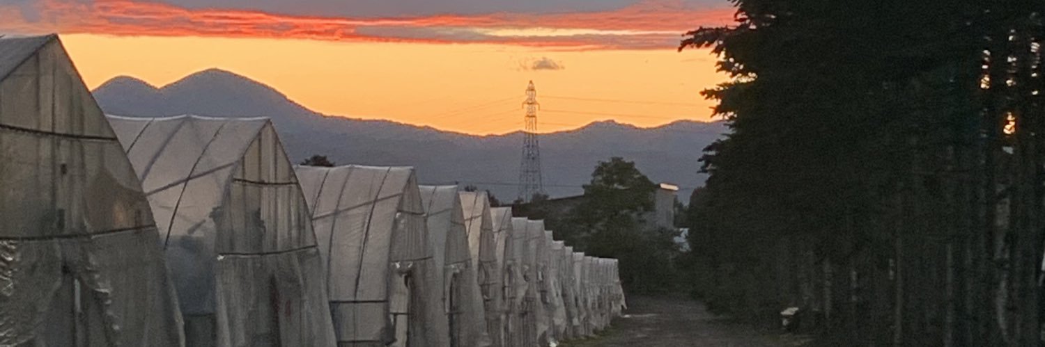 MorietoPg's profile banner image