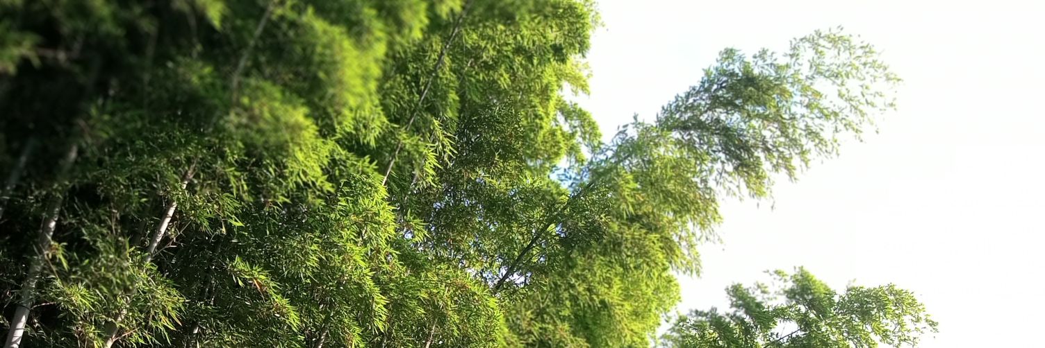 copyofacopyoh's profile banner image