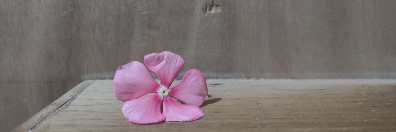FollowerNiiiii's profile banner image