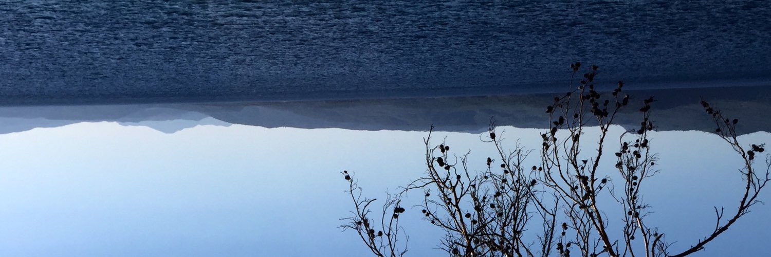 tulinbo's profile banner image