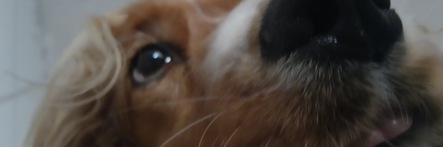 alankuche's profile banner image