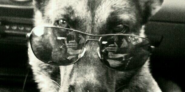 nicego777's profile banner image