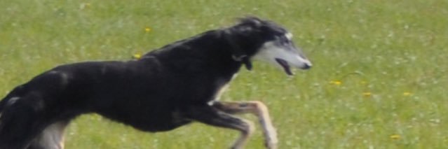 buckley197's profile banner image