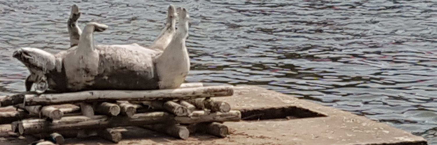 NeedMoreAle 🇺🇦🇵🇹🏴󠁧󠁢󠁳󠁣󠁴󠁿 banner