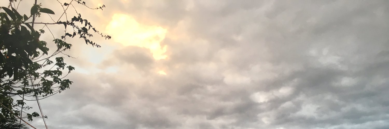 eleqp's profile banner image
