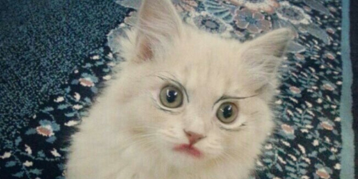 Faten_Ala's profile banner image