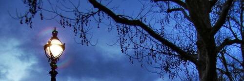 華露(まーぼー) banner