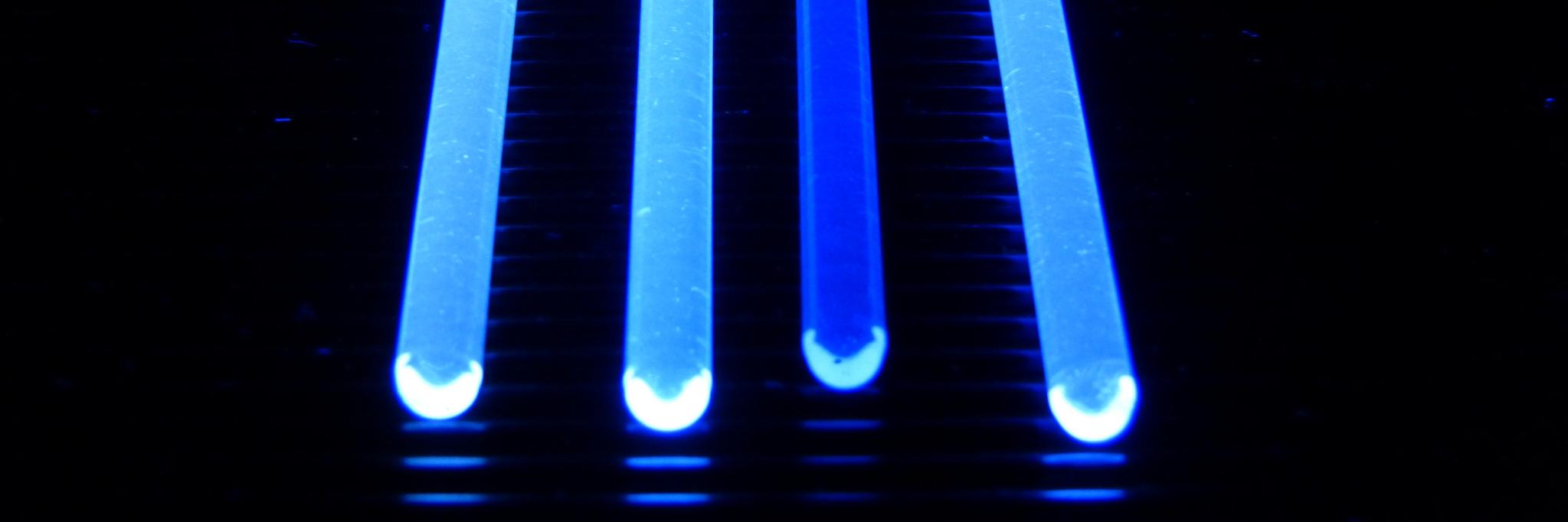 Greta Bergamaschi banner