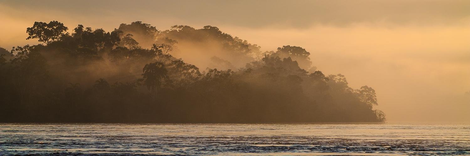 Diego J. Lizcano banner