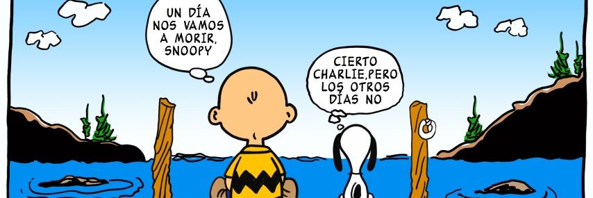 SmCuellar22's profile banner image