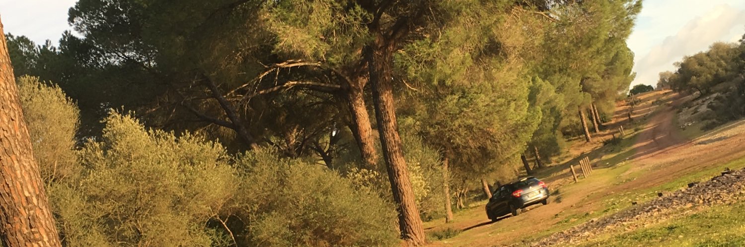 DiazPrez's profile banner image