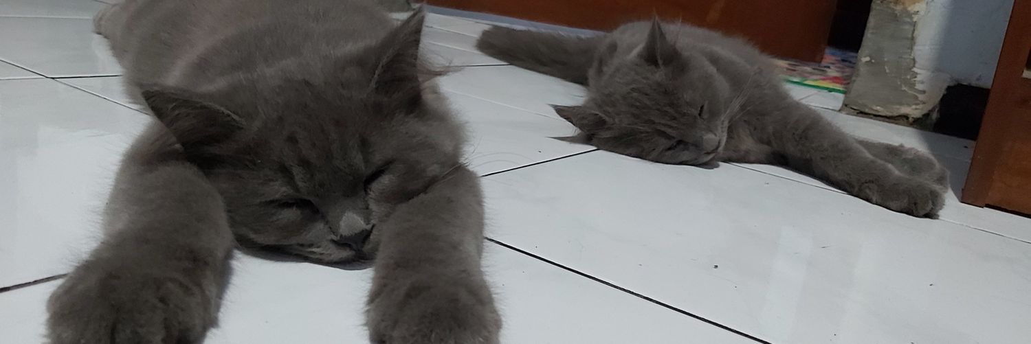 jabperalta's profile banner image