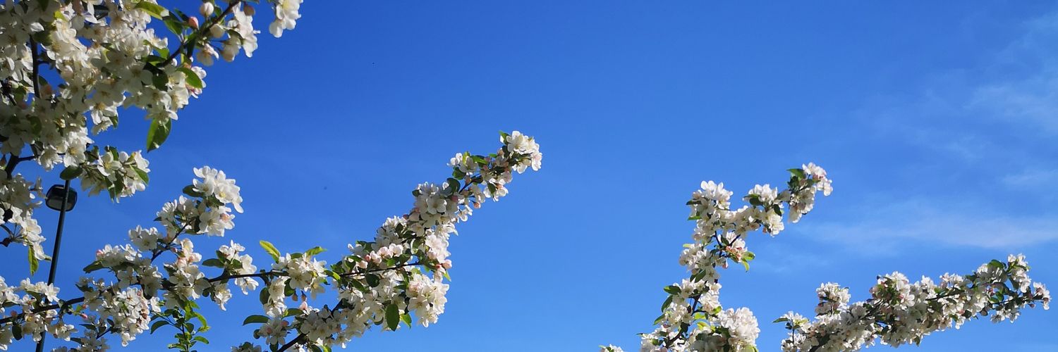 Real_EM0sapien's profile banner image