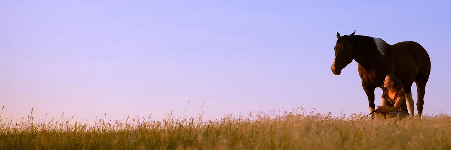 EquiSearch's profile banner image