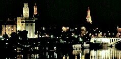 Tami_cr2501's profile banner image