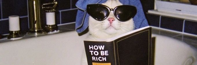 wiznarly's profile banner image