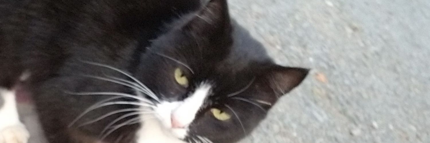 ` banner